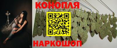 гашик Бузулук