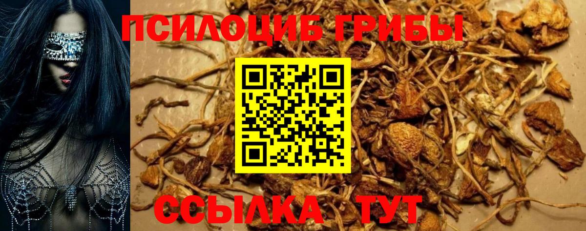 Галлюциногенные грибы MAGIC MUSHROOMS Кыштым